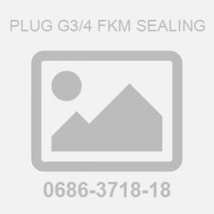 Plug G3/4 Fkm Sealing